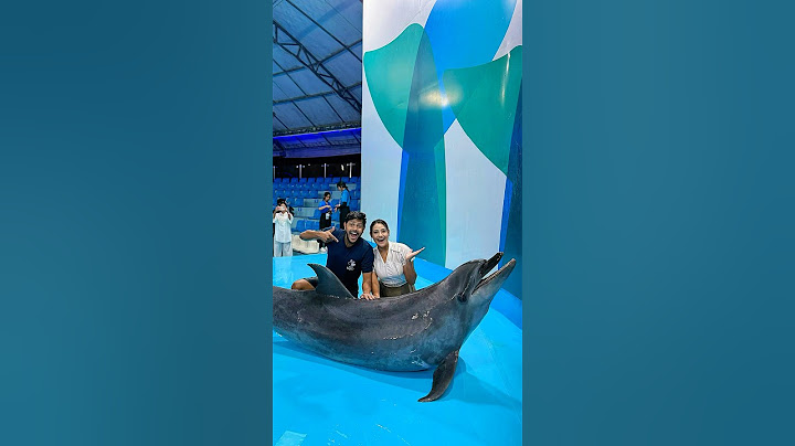 রাকিব রিতু ডলফিনের সাথে সাঁতার কাটছে 😱 | Swim With REAL Dolphin 🐬 #shorts