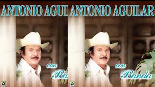 Video thumbnail of "BOLEROS ANTONIO AGUILAR"