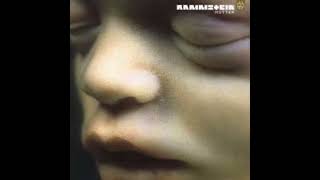 Rammstein - Spieluhr (instrumental)