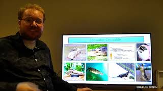 16 Animals of Australia - PowerPoint Presentation - Remastered - Part II