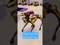 May the 4th Be With You | Boston Dynamics