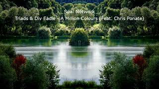 Triads &amp; Div Eadie   A Million Colours Feat  Chris Ponate by Seal Network | No Copyright Music