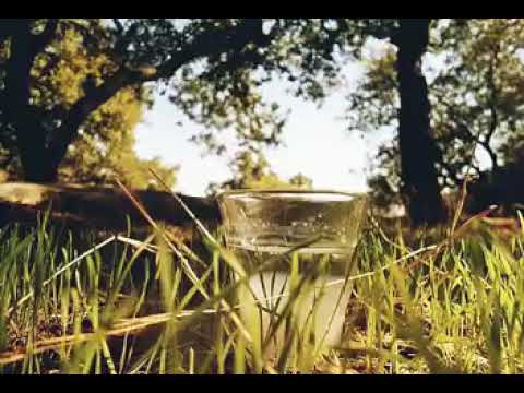 الذهب العتيق محسن تجور عتابا 