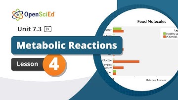 Unit 7.3 Lesson 4 | OpenSciEd On-Demand Resources