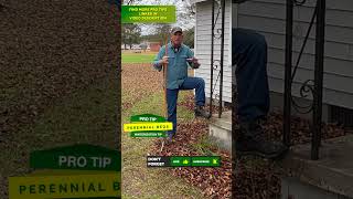 Stop Bagging Leaves (Do This Instead)