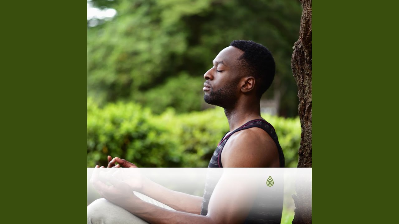 Vibrations Profondes pour Soulagement Tantrique de la Forêt