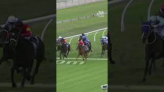 Matt McGillivray was on top of the world after he won the Queensland Oaks on WINNING WAYS in 2019! 👏