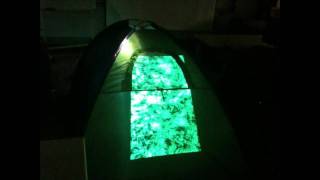 Tent in the city