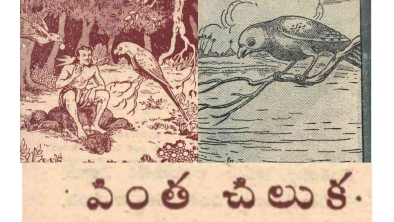 Vinta Chiluka వింత చిలుక #chandamama #teluguaudiobook #Eenatikathalu 
