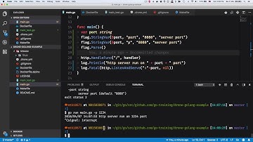 Go 語言使用 flag package 撰寫簡單命令列