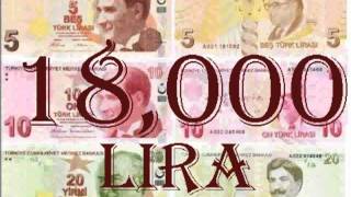 Art Brut- 18000 Lira- fan video