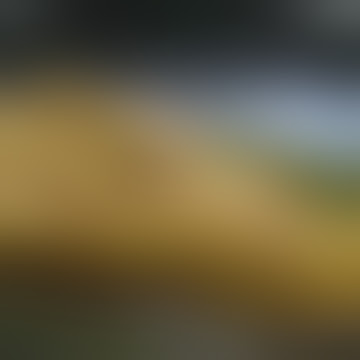 Tante cantik lagi masak kelihatan celana dalamnya