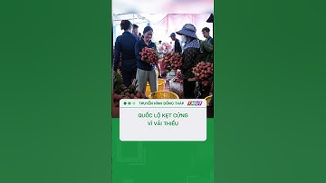 Đặc sản vải thiều Bắc Giang kẹt cứng trên quốc lộ #shorts