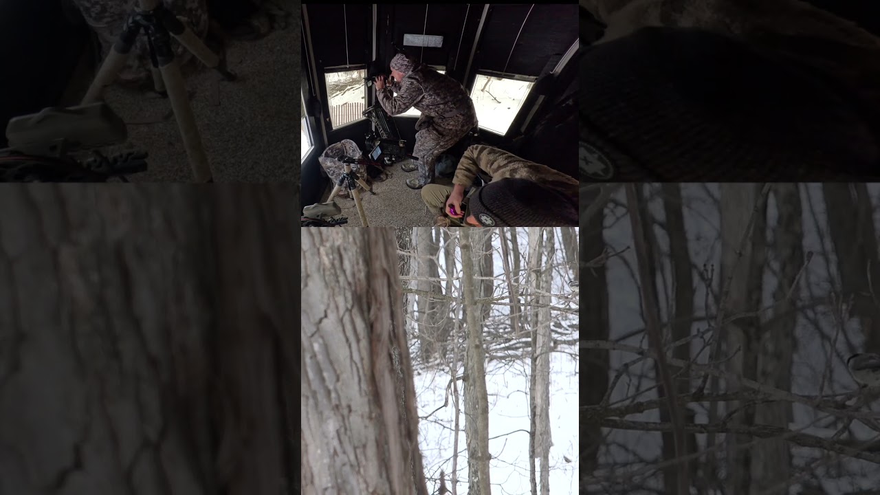 Big Buck Down - 2 Angles!