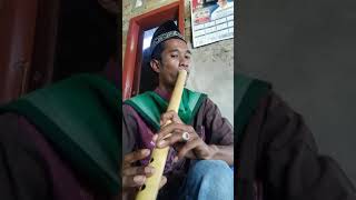 Singgalang induak