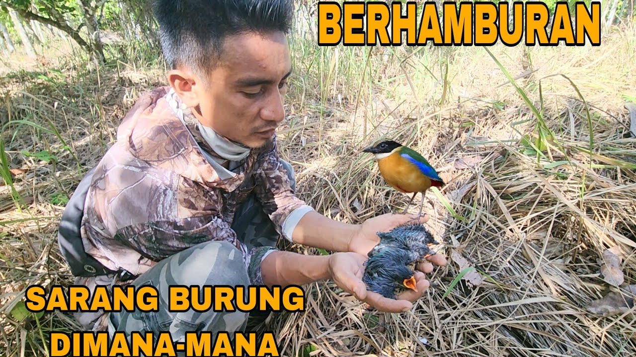 KALIAN TIDAK AKAN PERCAYA KALAU INI CUMA DILADANG