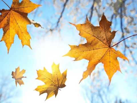 노사연 당신도 울고 있네요kpop 韓國歌謠