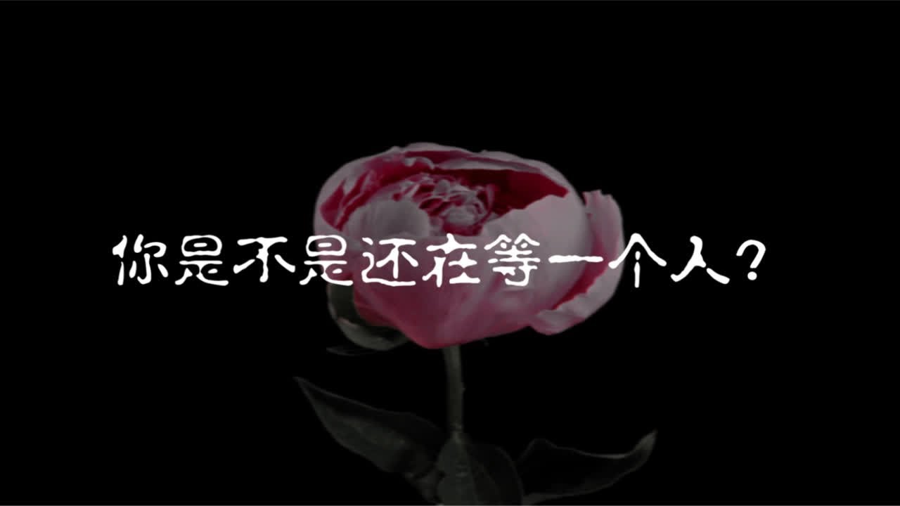 剧本杀《本爱情纯属虚构》先导宣传片 - YouTube