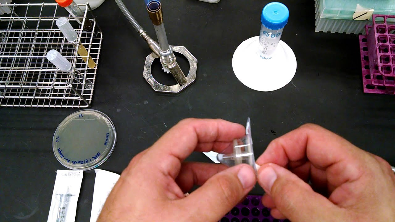 BIOL302L Syringe Filtration YouTube