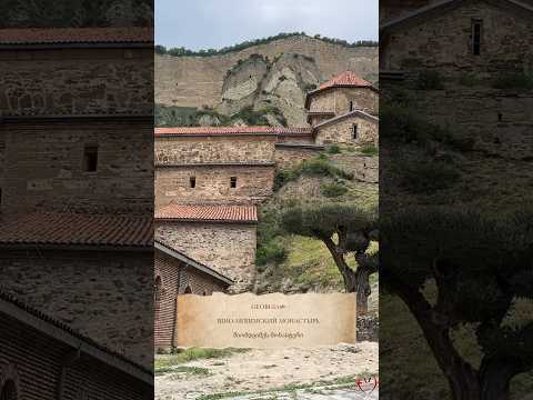 Грузия. Шио-Мгвимский Монастырь VI века в 30 км от Тбилиси. შიომღვიმე #georgia #travel #shorts
