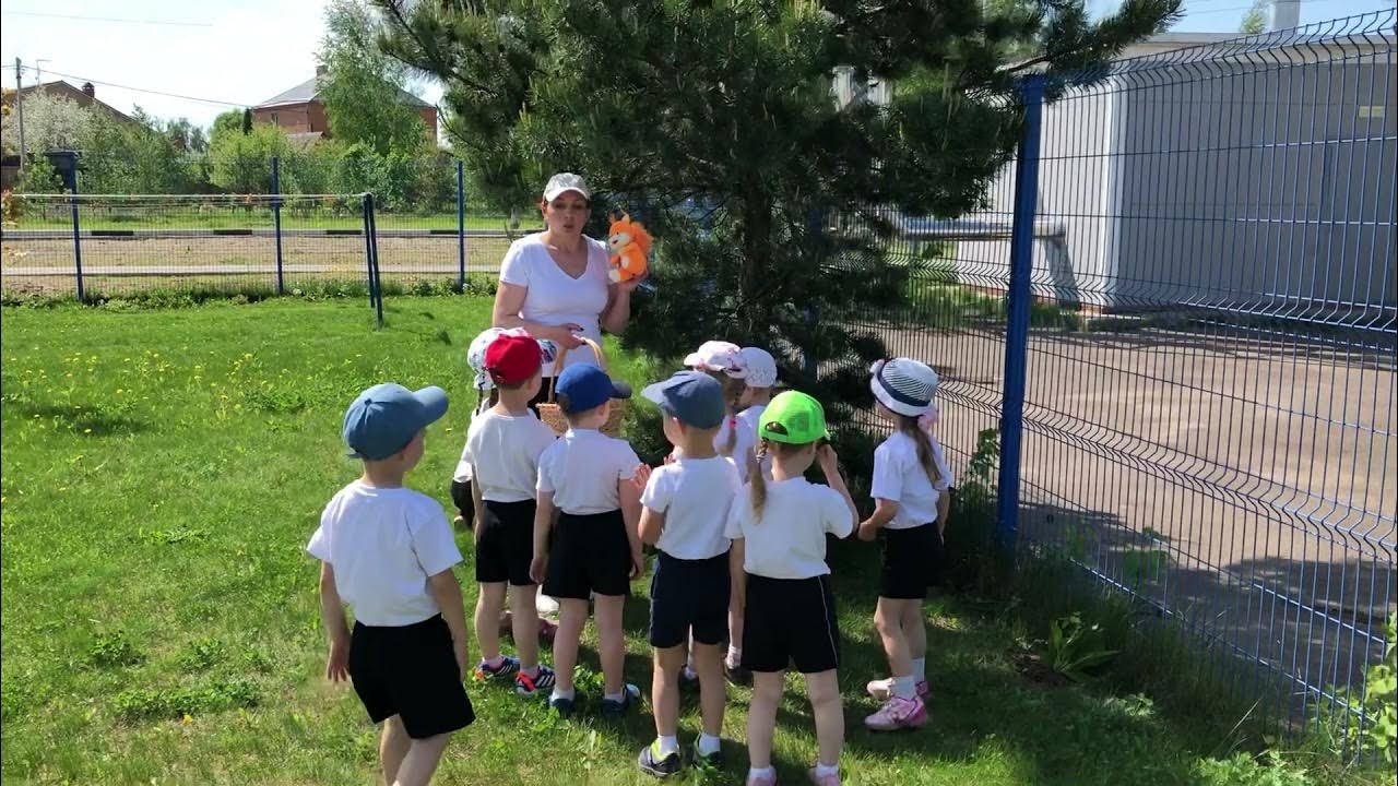 Физкультурное занятие на воздухе. Физкультура на улице в детском саду. Физкультура на прогулке в средней группе. Физкультурные занятия на улице. Физкультура на прогулке младшая группа.