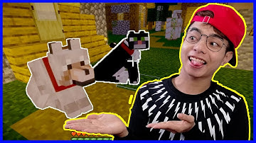 ThắnG Tê Tê Kiếm Bạn Mới Cho Bé Sói Trong Minecraft