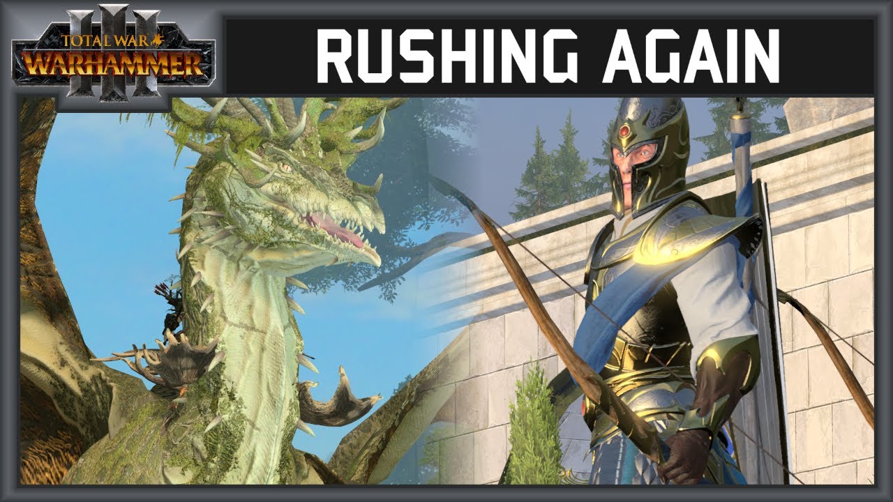 My Favourite Wood Elf Lord Wood Elves vs High Elves Total War