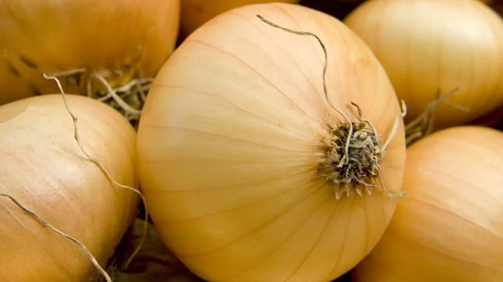 Store Onions Properly: Preserve Freshness and Flavor!