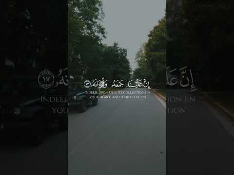 حتى لو حاولت تبرر وتتهرب قلبك عارف الحقيقة وانت أدرى بنفسك من أي أحد