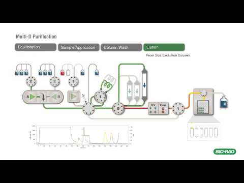 Automated Multi-D Chromatography on the NGC™ System