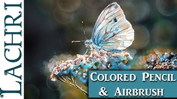 Butterfly Colored Pencil drawing & Airbrush demonstration w/ Lachri