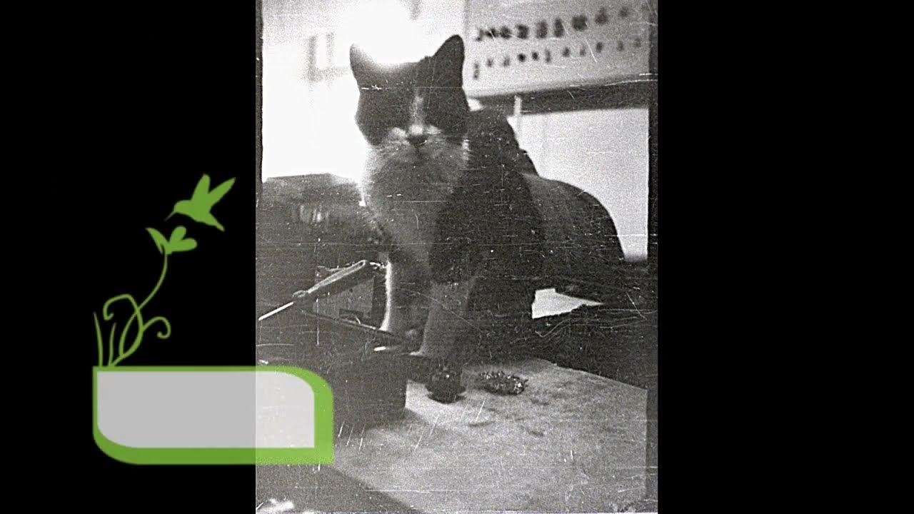 в,ч 03824 (кино съемка )