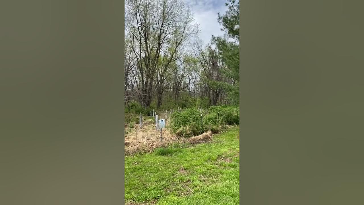 Snook Farm MD YouTube