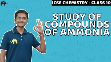 Study of Compounds of Ammonia | Class 10 ICSE Chemistry | Selina Chapter 9 | Haber