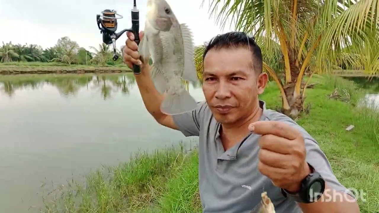 bukak kolam perdana tgl 8,2,2026,di situs cina kolam pak D,tiket 100 rb jam 5 pagi