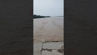 राजस्थान की गंगा बनास नदी || Rajasthan Ki Ganga #river #rajasthan #shortsfeed #youtubeshorts