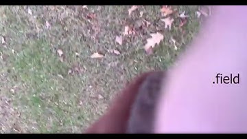 PeterAcheson - .field -  Xmaps, Dec 15, 2025