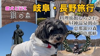 【犬旅】岐阜長野旅🐶昼神温泉朝市が楽しすぎ!料理旅館むらさわ・恵那峡・銀の森【ミニチュアシュナウザー】