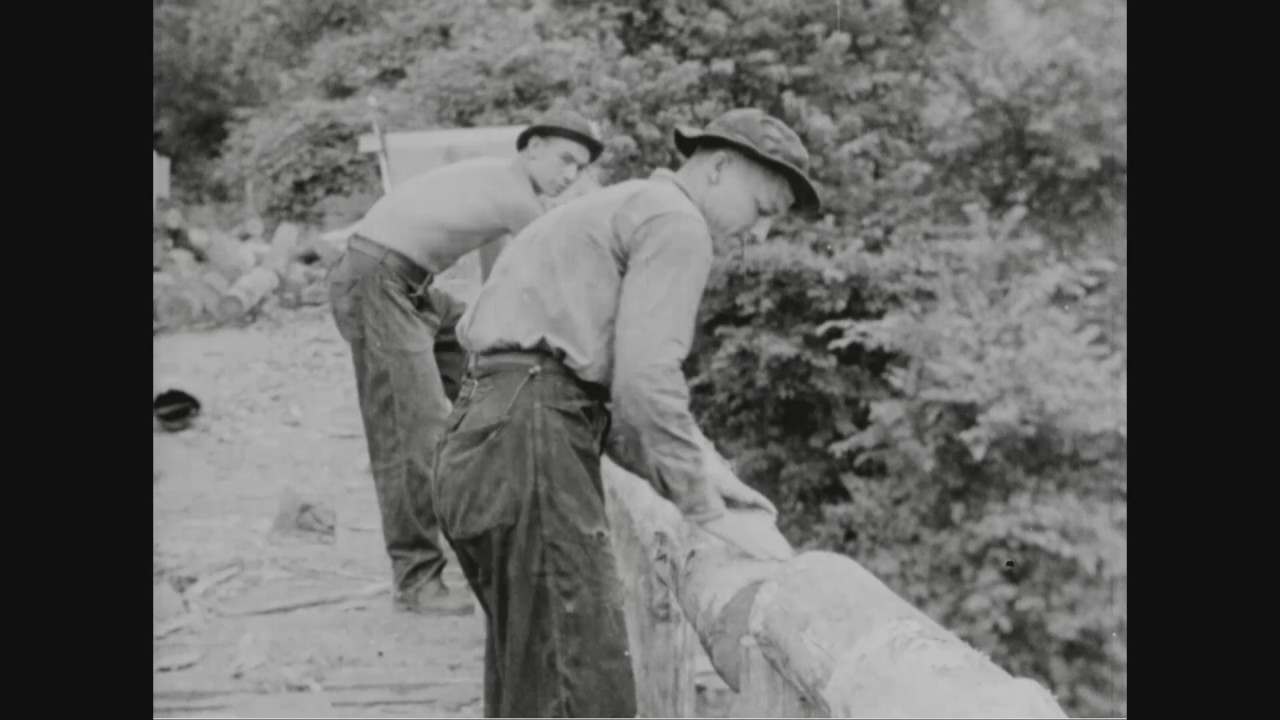 Documentary backdrop image for Emergency Conservation Work in Great Smoky Mountains National Park (2016)