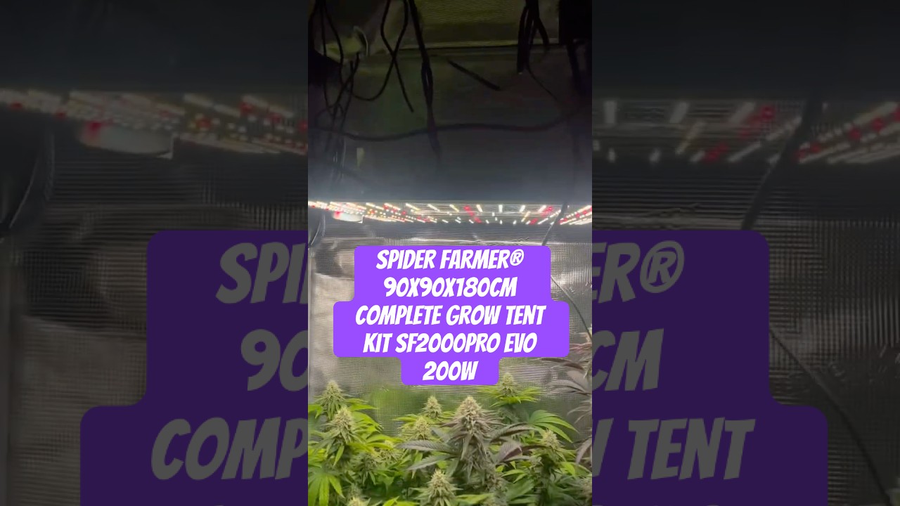Spider Farmer® 90X90X180cm Complete Grow Tent Kit SF2000PRO EVO 200W  