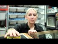 How To Set Up a Blue Tongue Skink