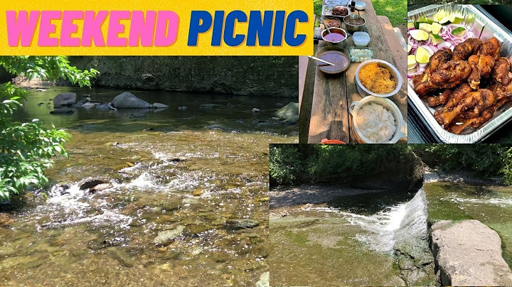 Weekend Picnic Vlog in Tamil | Hemlock creek reservation| Potluck| Weekend getaway