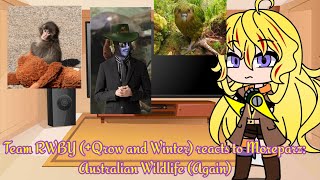Team RWBY + (Qrow and Winter) reacts to @MoreParz: Australian Wildlife (Again)
