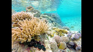 Rangiroa - the biggest atoll in French Polynesia