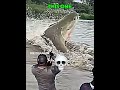 Others Fishing Vs This One ☠️ | #edit​ #trollface​ #fyp​ #usa​ #newyork​