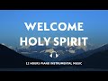 12 HOURS // WELCOME HOLY SPIRIT // INSTRUMENTAL SOAKING WORSHIP // SOAKING INTO HEAVENLY SOUNDS