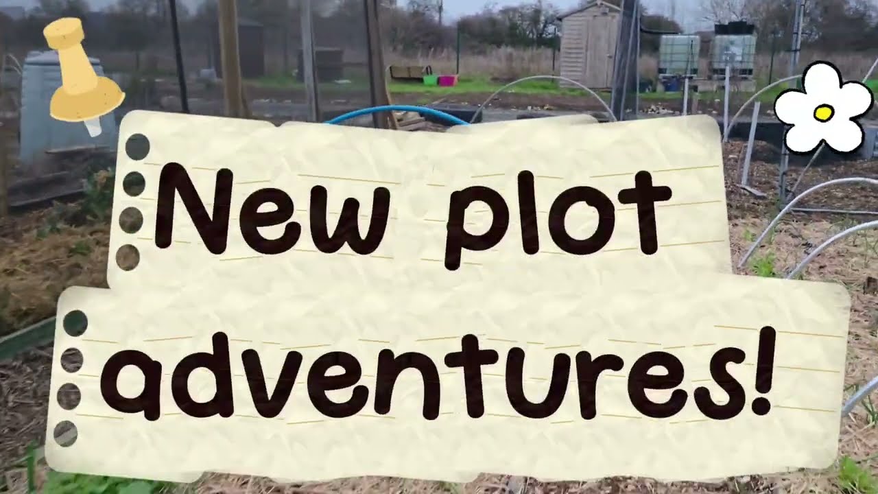 A combination of my daughters new plot and my plot! The best medicine is fresh air and compost!  