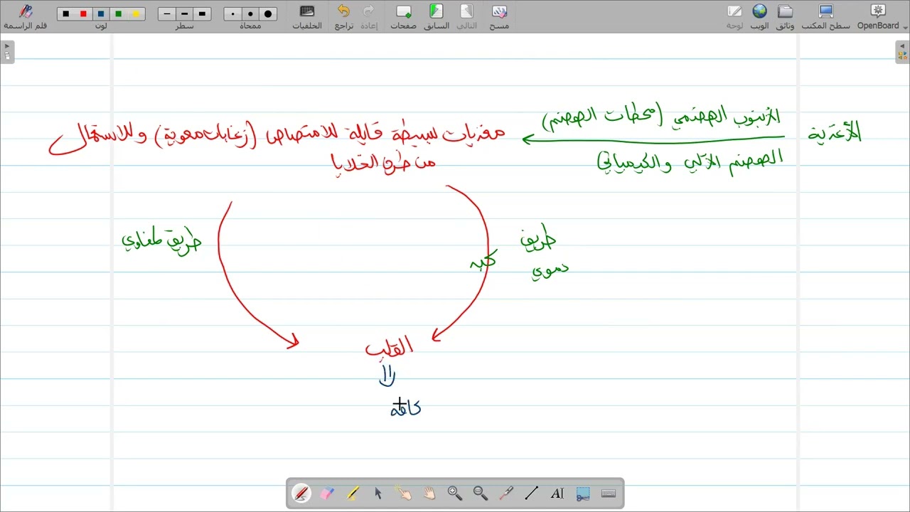 مصدر المادة الضرورية للتركيب الحيوي عند الإنسان +والتخمر و التنفس+ حل موضوع مقترح للاختبار