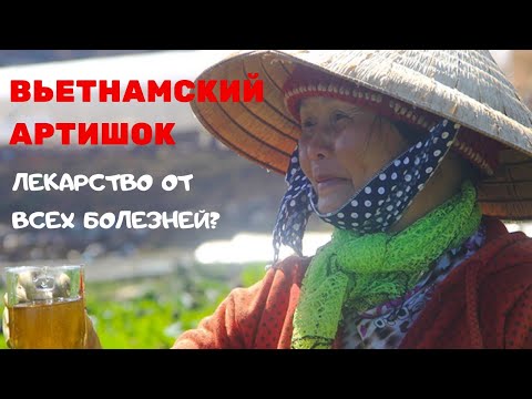 Артишок из Вьетнама: инструкция по применению / вытяжка из артишока / артишок полезные свойства
