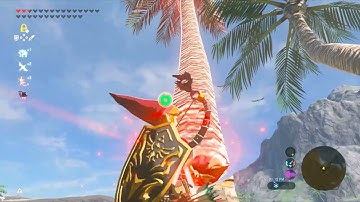 Tree Launch Fail - Zelda BOTW